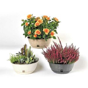 BAMA ITALY Γλάστρα Ψάθα Χαμηλή με Πιάτο Πλαστική Λευκό PAGLIA