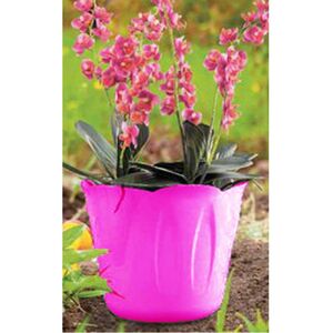 BAMA Κασπώ Πλαστικό Ø15x12cm 1lt με Σχέδιο σε 3 Μεγέθη Φούξια MIMOSA POT Ιταλίας