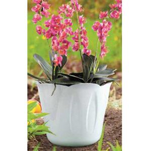 BAMA Κασπώ Πλαστικό Ø15x12cm 1lt με Σχέδιο σε 3 Μεγέθη Σοκολατί MIMOSA POT Ιταλίας