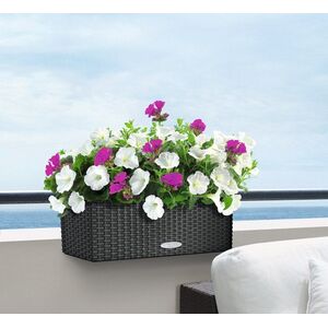 LECHUZA Balconera Cottage50 Ζαρντινιέρα 50x19x19cm Αυτοποτιζόμενη με Δοχείο Φύτευσης ΑΝΘΡΑΚΙ Γερμανίας RedDot Award 2010