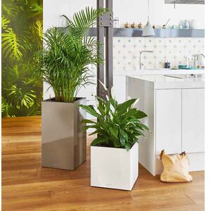 LECHUZA Canto 40 Κύβος Επιδαπέδια Γλάστρα 40x40x40cm Αυτοποτιζόμενη με Δοχείο Φύτευσης Λευκή Γερμανίας Reddot Award Winner 2017