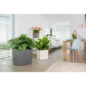 LECHUZA Cube Premium 30 Επιδαπέδια Γλάστρα 29.5x29.5x30cm Αυτοποτιζόμενη με Δοχείο Φύτευσης Ανθρακί Γερμάνιας