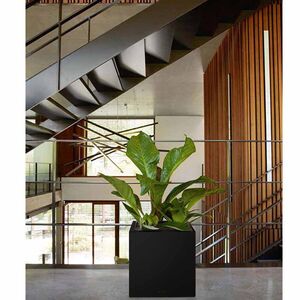 LECHUZA Cube Premium 30 Επιδαπέδια Γλάστρα 29.5x29.5x30cm Αυτοποτιζόμενη με Δοχείο Φύτευσης Μαύρο Γερμάνιας