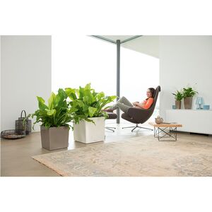 LECHUZA Cube Premium 30 Επιδαπέδια Γλάστρα 29.5x29.5x30cm Αυτοποτιζόμενη με Δοχείο Φύτευσης Γκρι-Καφέ Γυαλιστερή Γερμάνιας