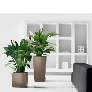 LECHUZA CUBICO 40 Επιτραπέζια Γλάστρα 39.5x39.x75.5cm Αυτοποτιζόμενη με Δοχείο Φύτευσης Γκρι-Καφέ Γερμανίας