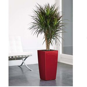 LECHUZA CUBICO 22 Επιτραπέζια Γλάστρα 22x22x41cm Αυτοποτιζόμενη με Δοχείο Φύτευσης Μπορντό Γερμανίας