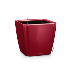 LECHUZA QUADRO 28 LS Επιτραπέζια Γλάστρα 28x28x26cm ΑΥΤΟΠΟΤΙΖΟΜΕΝΗ με Δοχείο Φύτευσης Μπορντό Γερμανίας