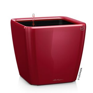 LECHUZA QUADRO 50 LS Premium Επιδαπέδια Γλάστρα 50x50x46.5cm ΑΥΤΟΠΟΤΙΖΟΜΕΝΗ με Δοχείο Φύτευσης Μπορντό Γυαλιστερή Γερμανίας