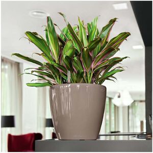 LECHUZA Classico 28 LS Premium Επιτραπέζια Γλάστρα Ø28.5x26cm Αυτοποτιζόμενη με Δοχείο Φύτευσης Γκρι-Καφέ Γυαλιστερή Γερμανίας