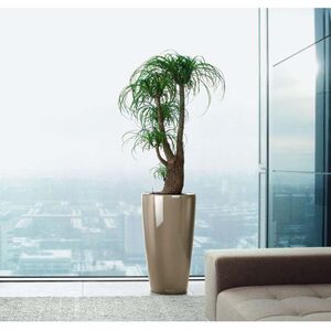 LECHUZA RONDO 32 Premium Επιδαπέδια Γλάστρα Ø32.5x56.5cm ΑΥΤΟΠΟΤΙΖΟΜΕΝΗ με Δοχείο Φύτευσης Γκρι Καφέ Γυαλιστερή Γερμανίας