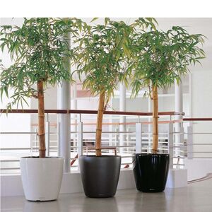 LECHUZA Classico 70 Premium Ø70x64.5cm Απλή Γλάστρα Χωρίς Σύστημα Αυτόματου ποτίσματος Ανθρακί Γυαλιστερή Γερμανίας