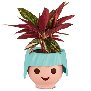 LECHUZA OJO PLAYMOBIL Γλάστρα/Κασπώ 21x21x15.75cm Αυτοποτιζόμενη AQUAMARINE Γερμανίας