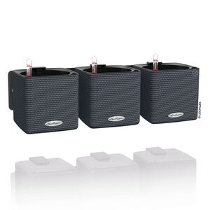 LECHUZA GREEN WALL Color Επιτοίχια Γλάστρα 48x6x14cm Αυτοποτιζόμενη 1.9kg με Εσωτερικά Δοχεία ΑΝΘΡΑΚΙ Γερμανίας