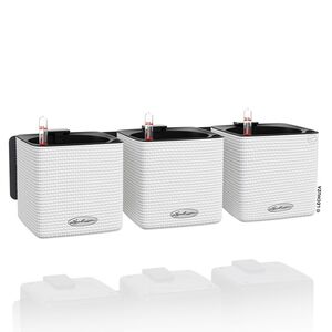 LECHUZA GREEN WALL Color Επιτοίχια Γλάστρα 48x6x14cm Αυτοποτιζόμενη 1.9kg με Εσωτερικά Δοχεία ΛΕΥΚΗ Γερμανίας