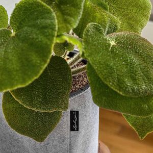 LECHUZA TRENDCOVER Felt 32 Γλάστρα με Φυσική Όψη Τσόχας Ø32x33cm Αυτοποτιζόμενη με Δοχείο Φύτευσης Light Grey Γερμανίας