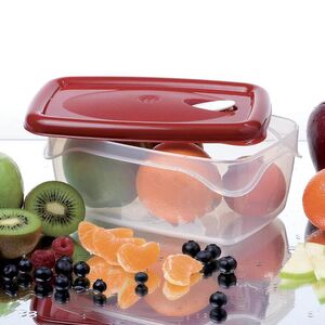 BAMA Ιταλίας Τάπερ-Φαγητοδοχείο 22.5x15.5x9.5cm Ορθογώνιο με Βαλβίδα 2lt Διάφανο Κόκκινο Καπάκι