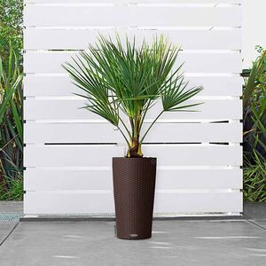 LECHUZA CILINDRO COTTAGE 32 Επιδαπέδια Γλάστρα Ø32x56cm Αυτοποτιζόμενη με Δοχείο Φύτευσης Καφέ-μόκα Γερμανίας