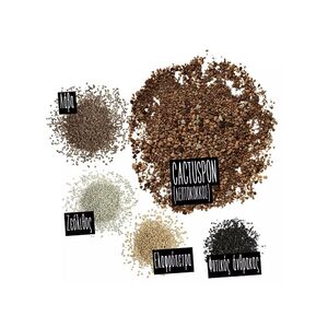 LECHUZA CACTUSPON Υπόστρωμα Φύτευσης 3lt για Κάκτους και Παχύφυτα για Γλάστρες Lechuza