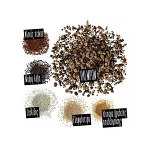 LECHUZA PALMPON Υπόστρωμα Φύτευσης 25lt με Λίπασμα για Φοινικοειδή Τροπικά Μεσογειακά Φυτά για Γλάστρες Lechuza