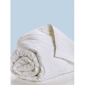 Palamaiki Πάπλωμα White Comfort 220x240 ALOE VERA FRESH WHITE Λευκό