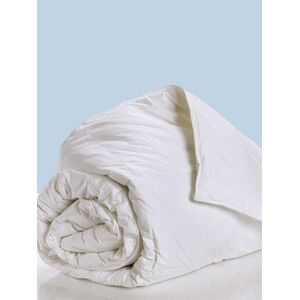 Palamaiki Πάπλωμα White Comfort 160x240 PURA QUILT WHITE Λευκό