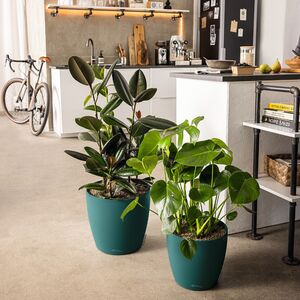 LECHUZA Cachepot Deco 28 Επιτραπέζια Γλάστρα Ø28x26cm Ανθρακί Γερμανίας