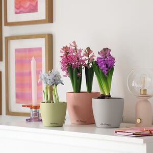 LECHUZA Cachepot Deco 10 Επιτραπέζια Γλάστρα Ø11x10cm Magnolia Γερμανίας