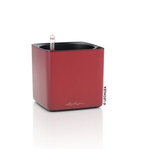 LECHUZA CUBE Premium 16 Επιτραπέζια Γλάστρα 17x17x16cm Αυτοποτιζόμενη με Εσωτερικό Δοχείο Scarlet Red Ματ Γερμανίας