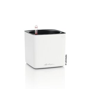 LECHUZA CUBE Premium 16 Επιτραπέζια Γλάστρα 17x17x16cm Αυτοποτιζόμενη με Εσωτερικό Δοχείο Λευκή Ματ Γερμανίας