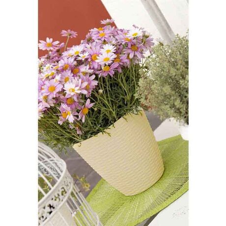 Κασπώ Στρογγυλό Πλαστικό με Σχέδιο Ψάθα Κρεμ BAMA Ιταλίας