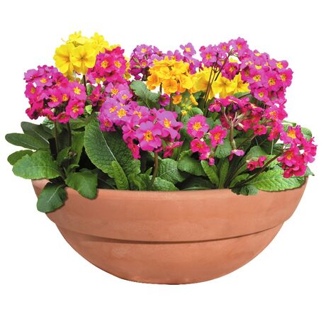 BAMA ITALY Γλάστρα Βαρέως Τύπου Στρογγυλή σε 2 Μεγέθη από Ø40 Κεραμιδί Εποχής TONDA BOWL