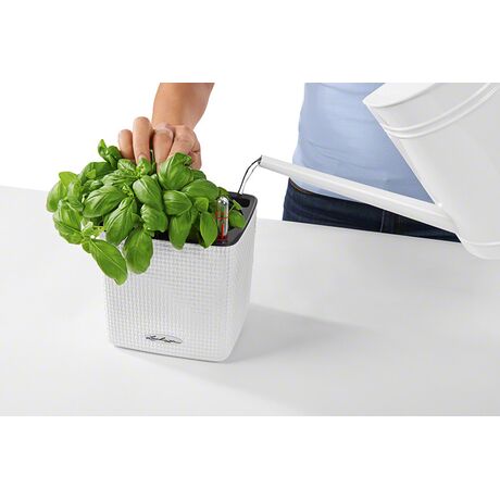 LECHUZA Cube Color14 Επιτραπέζια Γλάστρα 14x14x13.5cm Αυτοποτιζόμενη με Δοχείο ΛΕΥΚΗ Γερμανίας RedDot Award 2014/German Design Award 2016