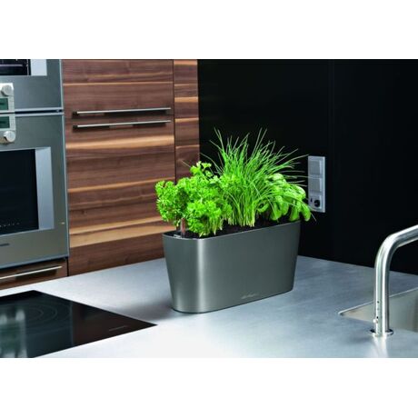 LECHUZA Delta10 Επιτραπέζια Γλάστρα 30x11x13cm Αυτοποτιζόμενη με Δοχείο Φύτευσης ΑΝΘΡΑΚΙ Γερμανίας RedDot Award 2009Designpreis Deutchland 2010