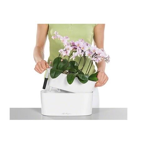 LECHUZA Delta10 Επιτραπέζια Γλάστρα 30x11x13cm Αυτοποτιζόμενη με Δοχείο Φύτευσης ΛΕΥΚΗ Γερμανίας RedDot Award 2009/Designpreis Deutchland 2010