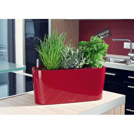 LECHUZA Delta20 Επιτραπέζια Γλάστρα 40x14.6x18cm Αυτοποτιζόμενη με Δοχείο Φύτευσης ΚΟΚΚΙΝΗ Γερμανίας RedDot Award 2009Designpreis Deutchland 2010