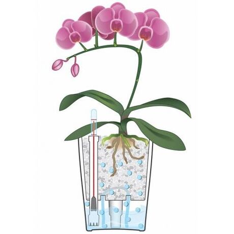 LECHUZA Deltini Επιτραπέζια Γλάστρα 15x15x19cm Αυτοποτιζόμενη με Δοχείο Φύτευσης ΑΝΘΡΑΚΙ Γερμανίας iF Product Design Award 2012