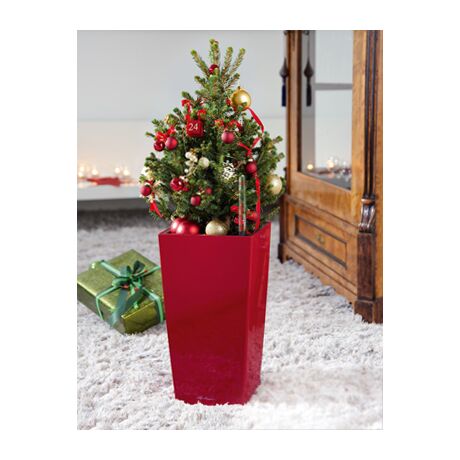 LECHUZA Maxi-Cubi Επιτραπέζια Γλάστρα 14x14x26cm Αυτοποτιζόμενη με Δοχείο Φύτευσης ΚΟΚΚΙΝΗ Γερμανίας