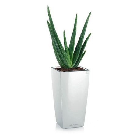 LECHUZA Maxi-Cubi Επιτραπέζια Γλάστρα 14x14x26cm Αυτοποτιζόμενη με Δοχείο Φύτευσης ΛΕΥΚΗ Γερμανίας