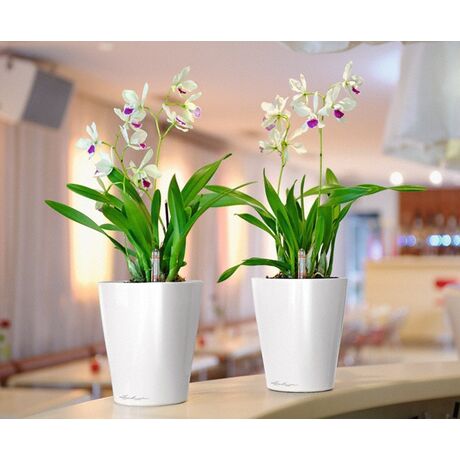 LECHUZA Mini Deltini Επιτραπέζια Γλάστρα 10x10x13cm Αυτοποτιζόμενη με Δοχείο Φύτευσης ΛΕΥΚΗ Γερμανίας iF Product Design Award 2012