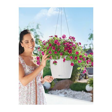 LECHUZA Nido Cottage Κρεμαστή Γλάστρα Ø27x23cm Στρογγυλή Αυτοποτιζόμενη με Δοχείο Φύτευσης Ανοξείδωτο Αξεσουάρ Κρέμασης ΛΕΥΚΗ Γερμανίας