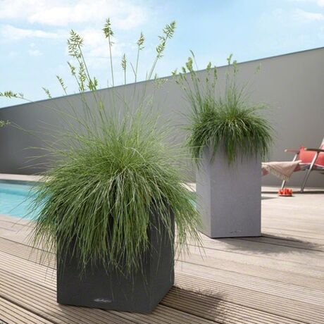 LECHUZA Canto Color Κύβος 30 Επιδαπέδια Γλάστρα 30x30x30cm Αυτοποτιζόμενη με Δοχείο ΜΑΥΡΟ του ΓΡΑΦΙΤΗ όψη ΦΥΣΙΚΗ ΠΕΤΡΑ Γερμανίας