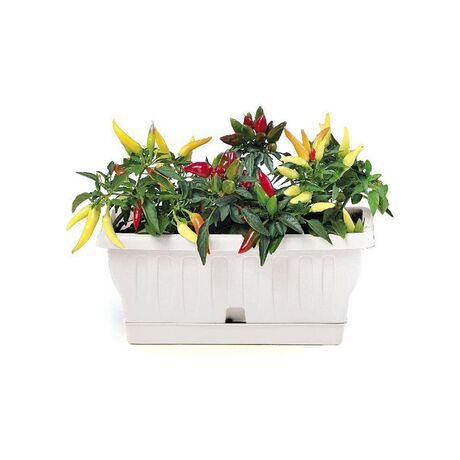 BAMA ITALY Ζαρντινιέρα Decor 30cm/40cm/50cm/60cm/80cm με Αυτοποτιζόμενο Πιάτο Πλαστική Λευκή NATURA