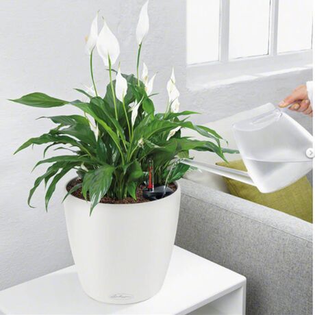 LECHUZA Classico 28 Επιτραπέζια Γλάστρα Ø27.5x26cm Αυτοποτιζόμενη Λευκή Γερμανίας