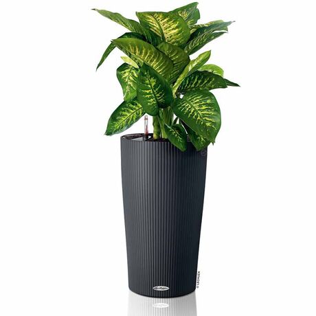 LECHUZA CILINDRO 32 Επιδαπέδια Γλάστρα Ø32x56cm Αυτοποτιζόμενη με Δοχείο Φύτευσης Ανθρακί Γερμανίας