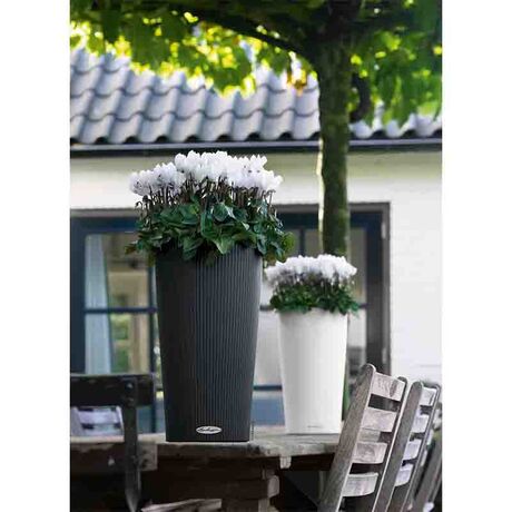 LECHUZA CILINDRO 23 Επιδαπέδια Γλάστρα Ø23x41cm Αυτοποτιζόμενη με Δοχείο Φύτευσης Ανθρακί Γερμανίας
