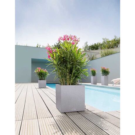 LECHUZA Canto Color 40 Επιδαπέδια Γλάστρα 40x40x40cm Αυτοποτιζόμενη με Δοχείο ΓΚΡΙ Όψη Φυσική Πέτρα Γερμανίας