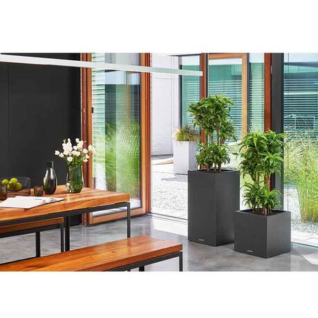 LECHUZA Canto Color Στήλη 40 Επιδαπέδια Γλάστρα 40x40x76cm Αυτοποτιζόμενη με Δοχείο Μαύρο του Γραφίτη Όψη Φυσική Πέτρα Γερμανίας