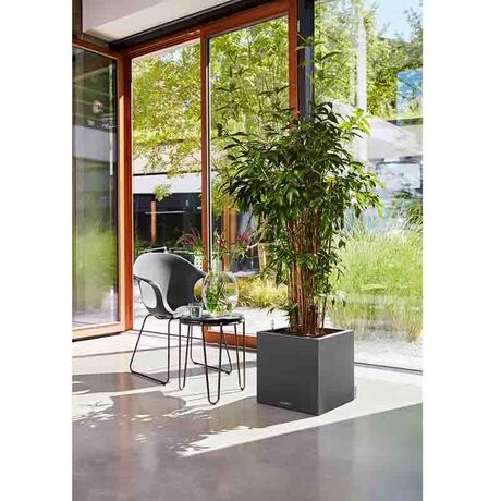 LECHUZA Canto Color 40 Επιδαπέδια Γλάστρα 40x40x40cm Αυτοποτιζόμενη Μαύρο του Γραφίτη Όψη Φυσική Πέτρα Γερμανίας