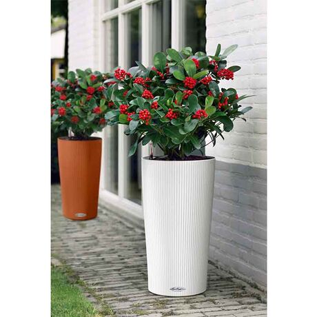 LECHUZA CILINDRO 32 Επιδαπέδια Γλάστρα Ø32x56cm Αυτοποτιζόμενη με Δοχείο Φύτευσης Λευκή Γερμανίας