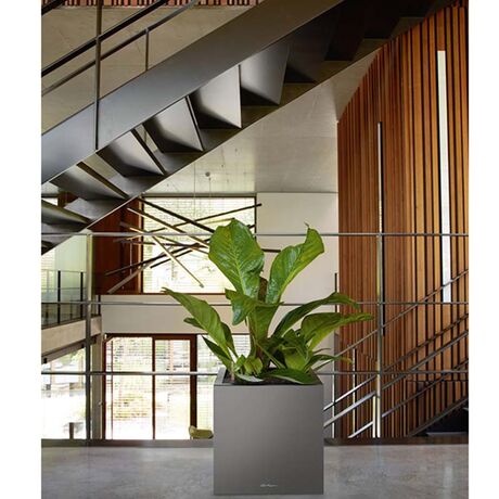 LECHUZA Canto 40 Premium Κύβος Επιδαπέδια Γλάστρα 40x40x40cm Αυτοποτιζόμενη με Δοχείο Φύτευσης Ανθρακί Γυαλιστερό Γερμανίας Reddot Award Winner 2017